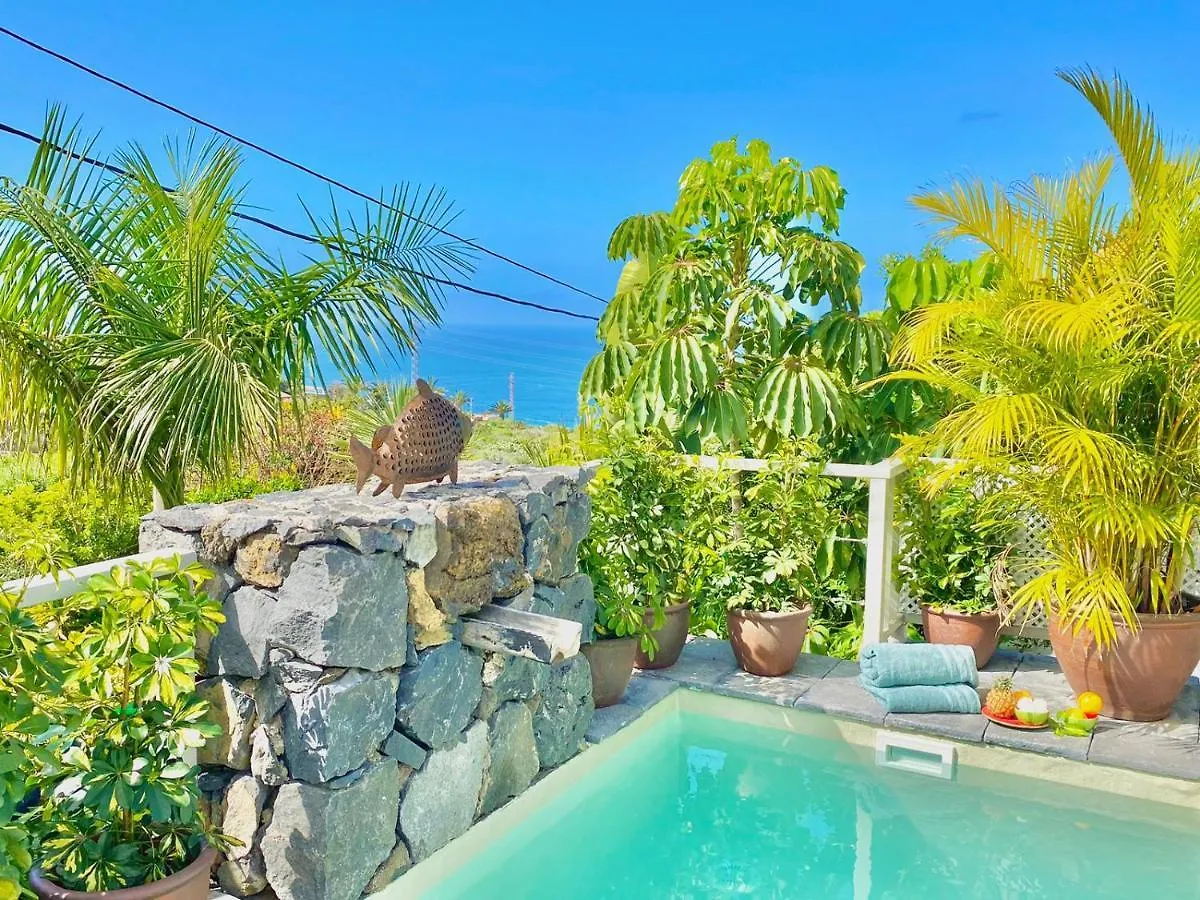Holiday home Casa Plumeria, A Private Paradise With Pool. La Orotava