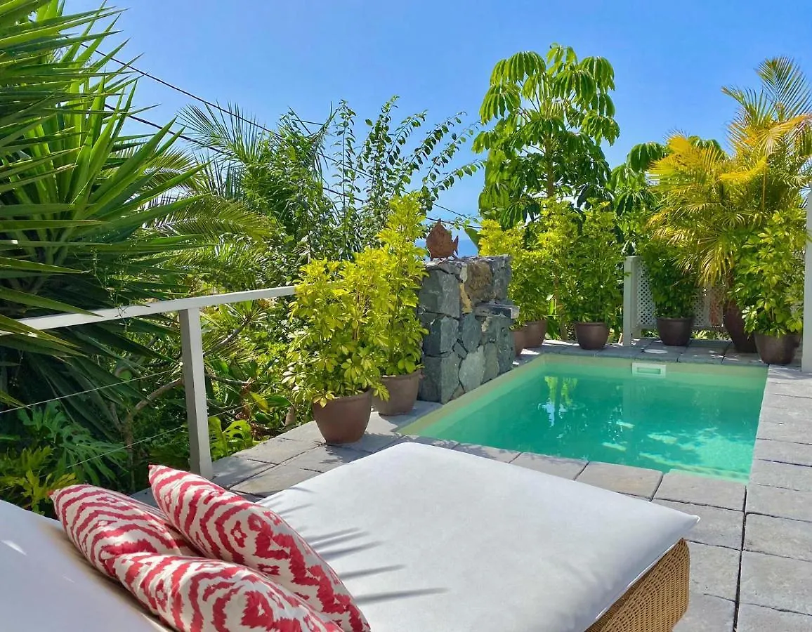Casa Plumeria, A Private Paradise With Pool. La Orotava