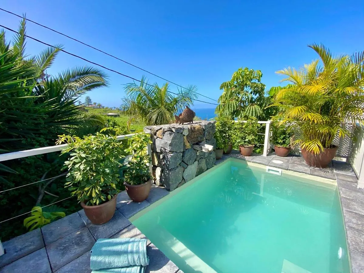 Casa Plumeria, A Private Paradise With Pool. La Orotava Holiday home